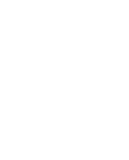 cavaille logo