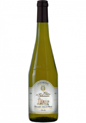MUSCADET SEVRE ET MAINE