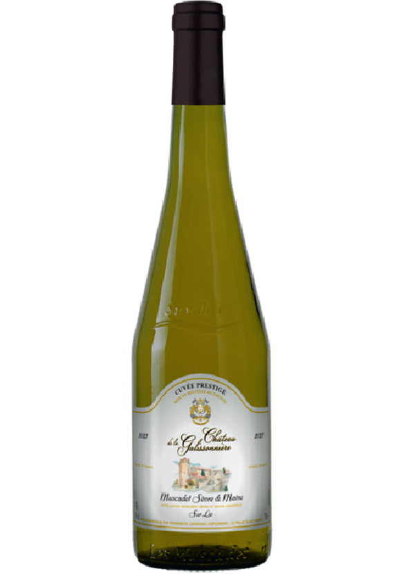 MUSCADET SEVRE ET MAINE