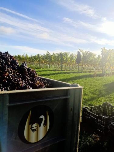 6bec5076-0083-4bba-b976-04977f49426f