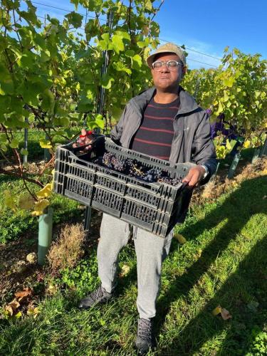 76bff564-d8a3-4d7d-890e-4168016f8af0