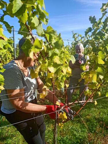 7915c996-de4b-43f7-b95e-f2846e2fb979