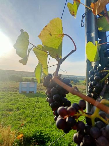 7f06a4cd-1a5c-4d49-8fc6-977359078bfc