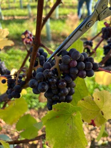 9e662d39-83a5-4c18-8c2b-a78f03bad5c2