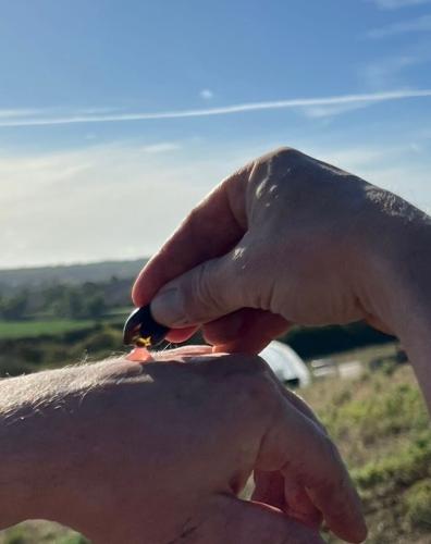 a9c0c9b2-8c64-4e8c-a1c6-fd9f56fd6301