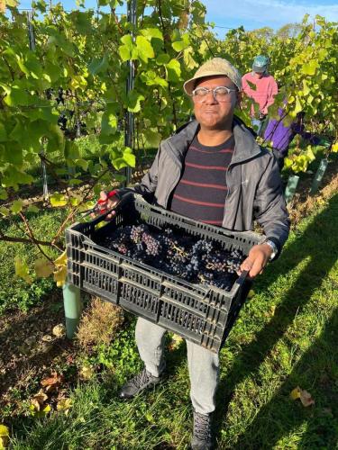 bb29b626-d77a-46a5-b489-92fc1b3e7518