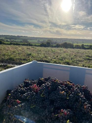 d5824b28-78fa-4d60-8908-0ddeca56e046